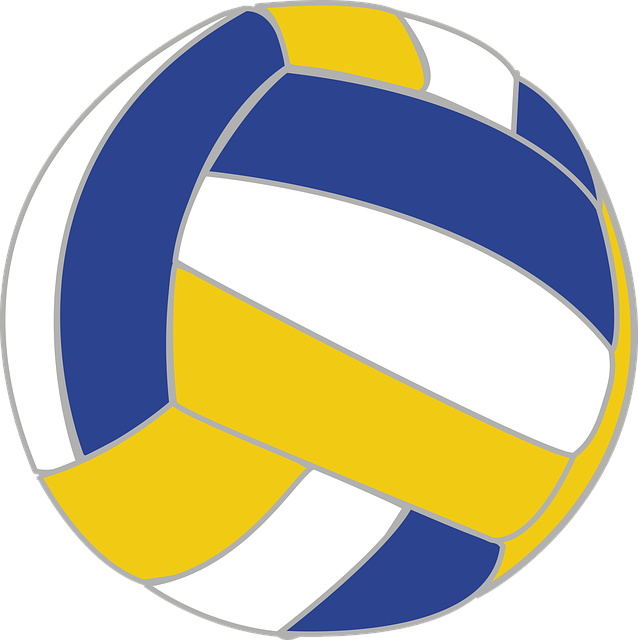 Free download Ball Volleyball Team - Free vector graphic on Pixabay free illustration to be edited with GIMP free online image editor