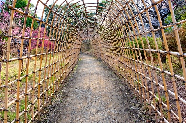 Free download Bamboo Arch Flowers -  free photo or picture to be edited with GIMP online image editor