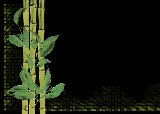 Free download Bamboo Plant Digital Creation -  free illustration to be edited with GIMP free online image editor