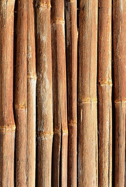 Free download Bamboo Wood Pattern -  free illustration to be edited with GIMP free online image editor