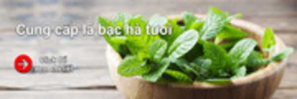 Free download BANNER La Bac Ha free photo or picture to be edited with GIMP online image editor