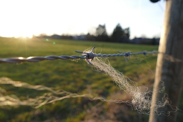 Free download Barbed Wire Fence -  free photo or picture to be edited with GIMP online image editor