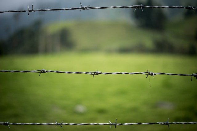 Free download Barbed Wire Fence Nature -  free photo or picture to be edited with GIMP online image editor