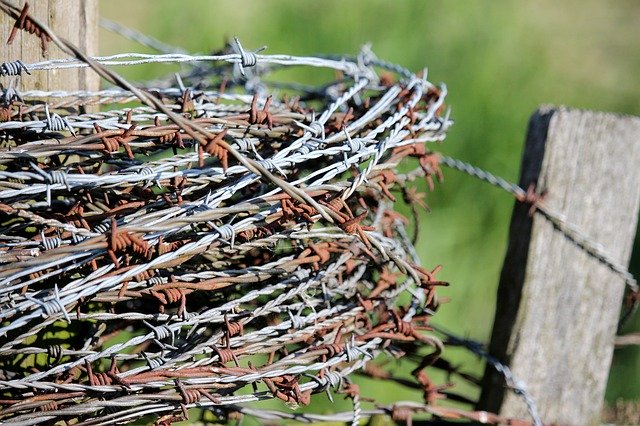 Free download Barbed Wire Fence Old -  free photo or picture to be edited with GIMP online image editor