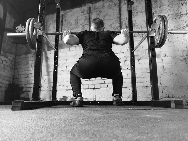 Free download Barbell Gym Squat Rack -  free photo or picture to be edited with GIMP online image editor