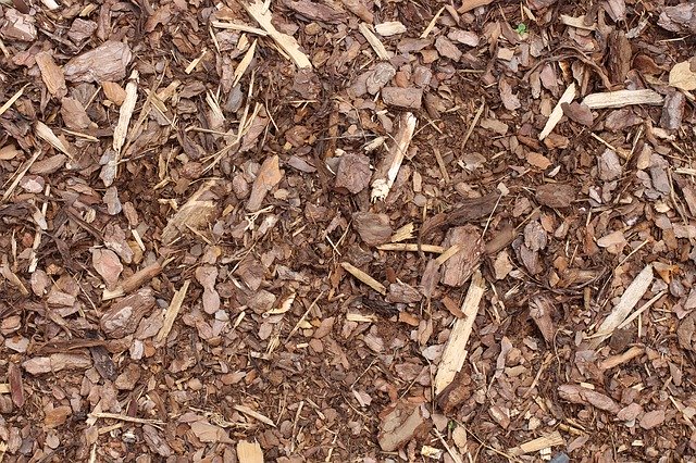 Free download Bark Mulch Texture Background -  free photo or picture to be edited with GIMP online image editor