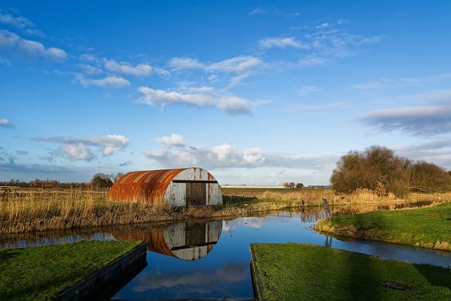 Free download barn reed trees reflection mirror free picture to be edited with GIMP free online image editor