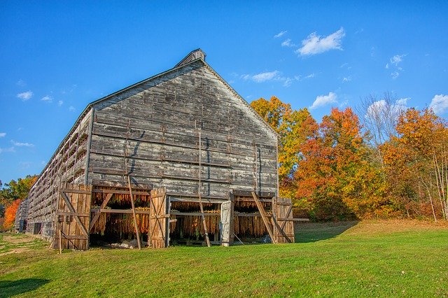 Free download Barn Tobacco Farm -  free photo or picture to be edited with GIMP online image editor