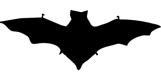 Free download Bat Dracula Silhouette - Free vector graphic on Pixabay free illustration to be edited with GIMP free online image editor