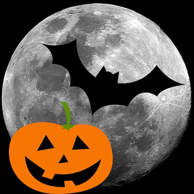 Free download Bat Pumpkin Face -  free illustration to be edited with GIMP free online image editor