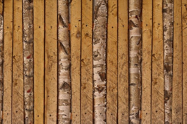 Free download Battens Boards Birch -  free photo or picture to be edited with GIMP online image editor