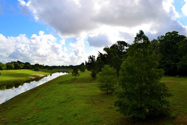 Free download Bayou Landscape Horizon -  free free photo or picture to be edited with GIMP online image editor