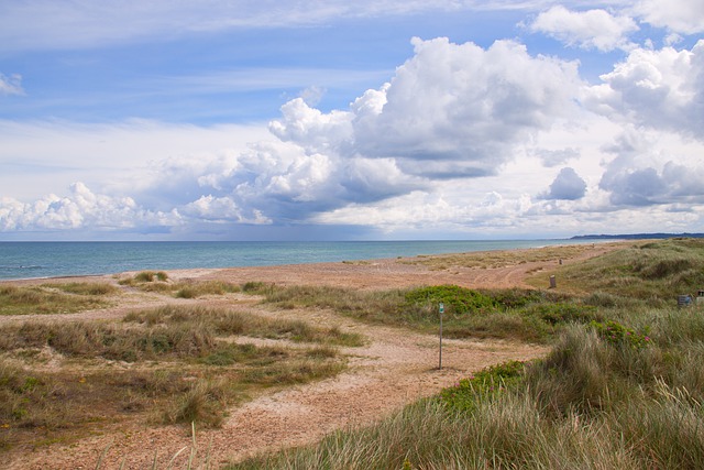 Free download beach coast ocean sea sky clouds free picture to be edited with GIMP free online image editor