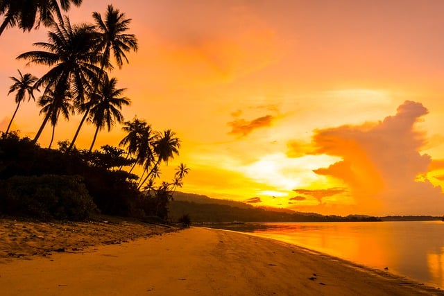 Free download beach coast trees coconut island free picture to be edited with GIMP free online image editor