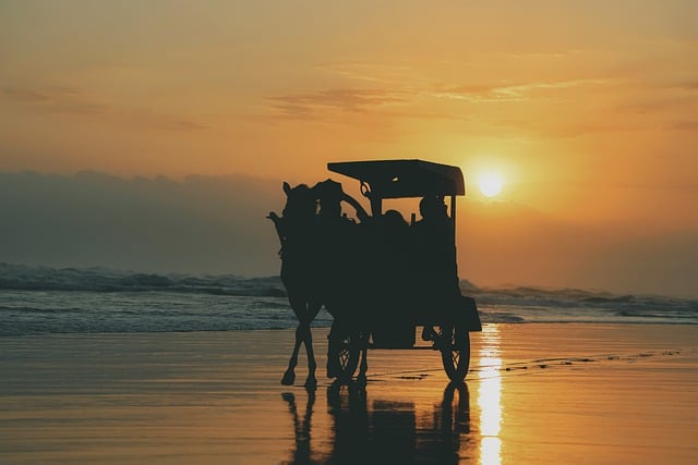 Free download beach dawn horse drawn carriage sea free picture to be edited with GIMP free online image editor