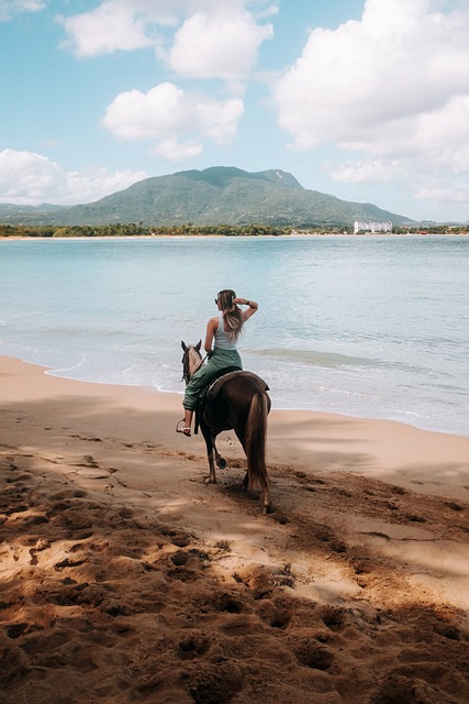 Free download beach horse ride water nature free picture to be edited with GIMP free online image editor