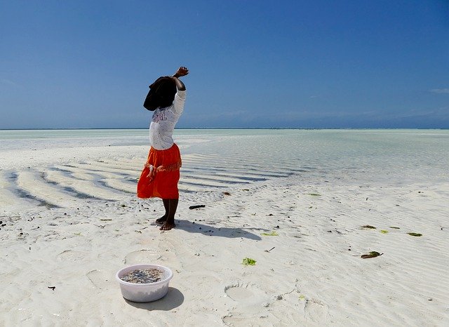 Free download Beach Paradise Zanzibar -  free free photo or picture to be edited with GIMP online image editor