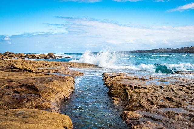 Free download beach sea bondi beach bondi summer free picture to be edited with GIMP free online image editor