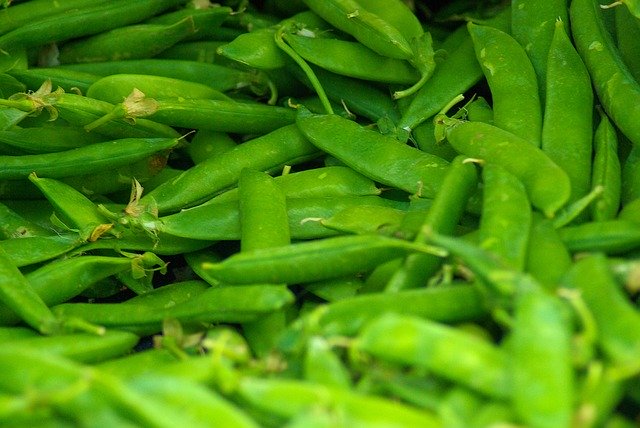 Free download Beans At Jackson Market Green -  free photo or picture to be edited with GIMP online image editor