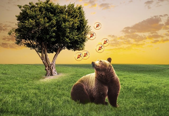 Free download bear goldfish tree meadow free picture to be edited with GIMP free online image editor