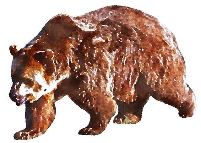 Free download Bear Savage Beast Watercolor -  free illustration to be edited with GIMP free online image editor