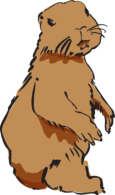 Free download Beaver Fur Pelt - Free vector graphic on Pixabay free illustration to be edited with GIMP free online image editor