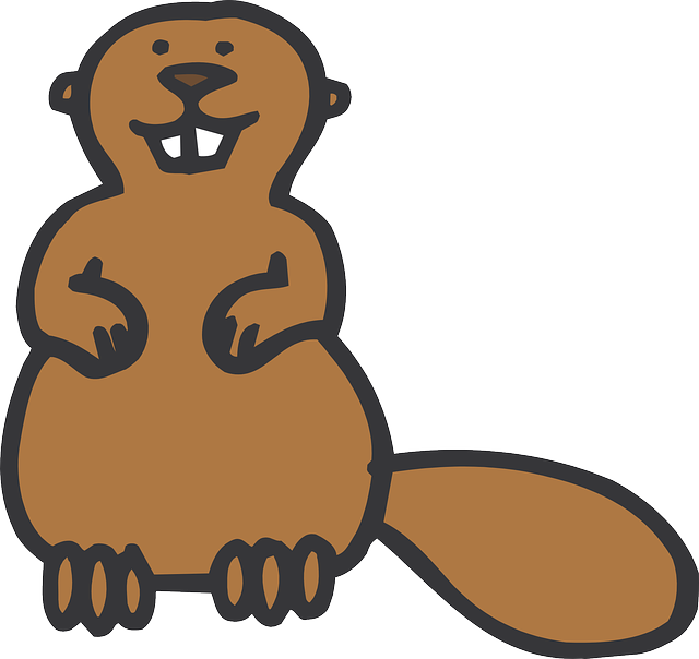 Free download Beaver Standing Animal - Free vector graphic on Pixabay free illustration to be edited with GIMP free online image editor