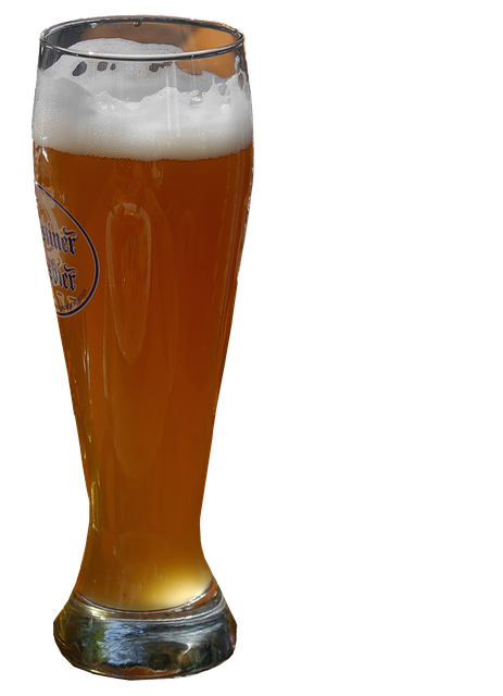 Free download Beer Mug Glass Wheat -  free illustration to be edited with GIMP free online image editor