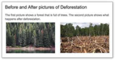 Free download beforeandafter deforestation free photo or picture to be edited with GIMP online image editor