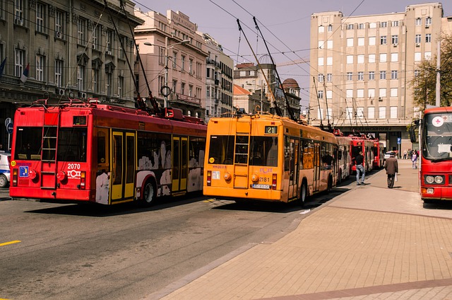 Free download belgrade bus transport vehicle free picture to be edited with GIMP free online image editor