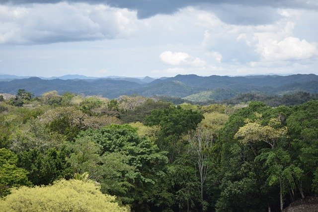 Free download Belize Mayan Ruins Treetops -  free photo or picture to be edited with GIMP online image editor