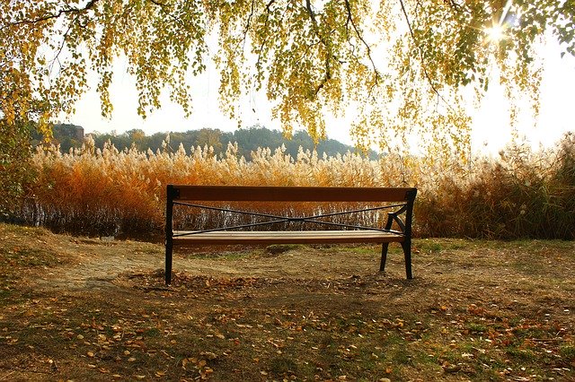 Free download Bench Autumn Nature -  free photo or picture to be edited with GIMP online image editor
