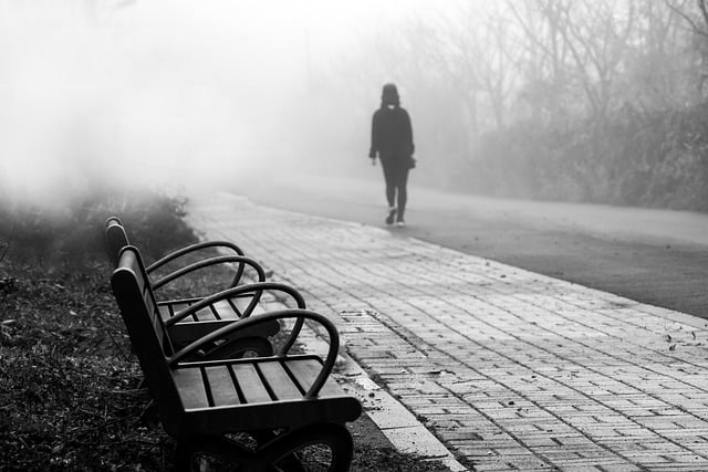 Free download bench chair fog woman road park free picture to be edited with GIMP free online image editor