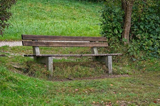 Free download Bench Forest Bank -  free photo or picture to be edited with GIMP online image editor