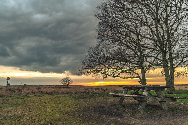 Free download Bench Nature Green -  free photo or picture to be edited with GIMP online image editor