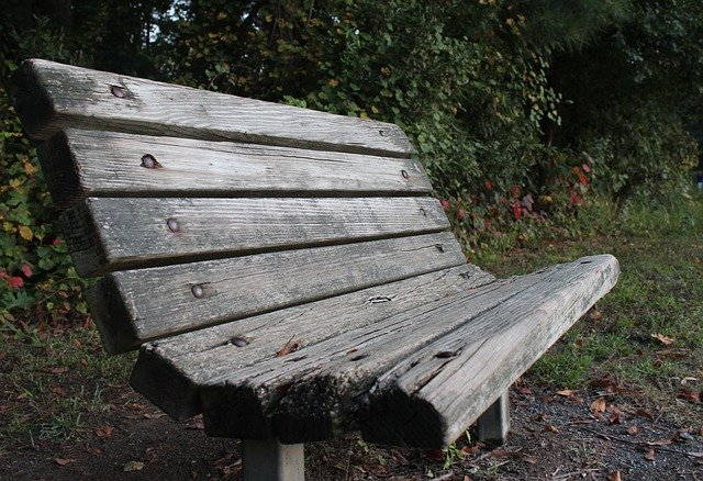 Free download Bench Relax Wood -  free photo or picture to be edited with GIMP online image editor