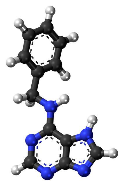 Free download Benzylaminopurine Hormone Molecule -  free illustration to be edited with GIMP free online image editor