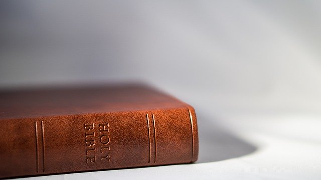 Free download Bible Book Reading -  free photo or picture to be edited with GIMP online image editor