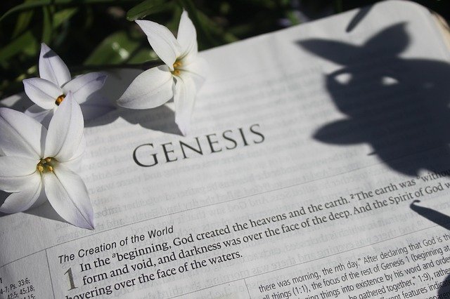 Free download Bible Creation Genesis -  free photo or picture to be edited with GIMP online image editor