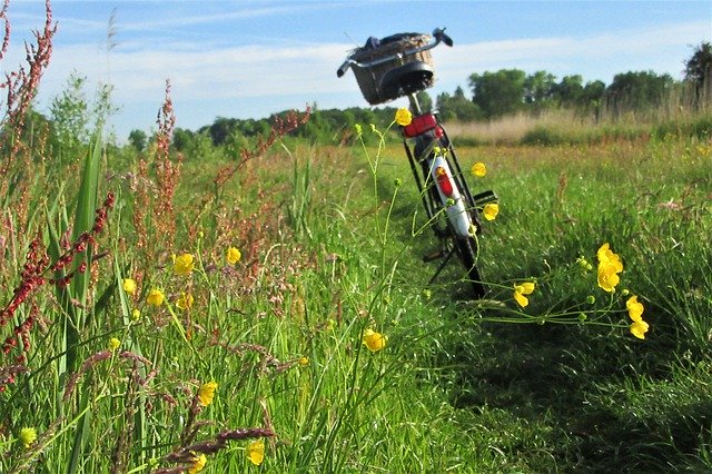 Free download Bicycle Outdoor Flowers -  free photo or picture to be edited with GIMP online image editor