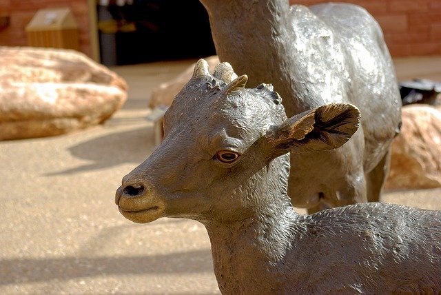 Free download Bighorn Lamb Sculpture Bronze -  free photo or picture to be edited with GIMP online image editor