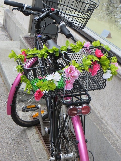 Free download Bike Pink Flower -  free photo or picture to be edited with GIMP online image editor