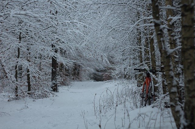 Free download Bike Winter Forest -  free photo or picture to be edited with GIMP online image editor