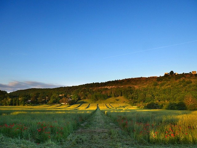 Free download Biodiversity Field Agriculture -  free photo or picture to be edited with GIMP online image editor