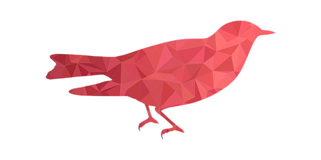 Free download Bird 3D Low Poly -  free illustration to be edited with GIMP free online image editor