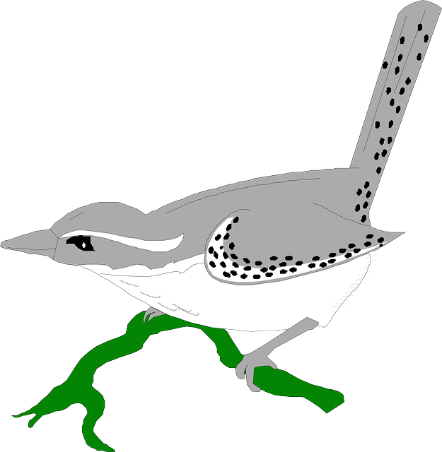 Free download Bird Animal Wren - Free vector graphic on Pixabay free illustration to be edited with GIMP free online image editor