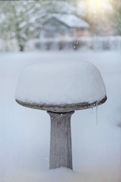 Free download birdbath snow winter outdoors free picture to be edited with GIMP free online image editor