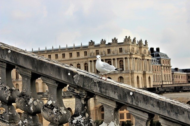 Free download Bird Building Sky -  free photo or picture to be edited with GIMP online image editor