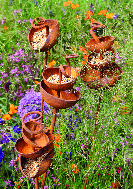 Free download Bird Feeder Seeds Plants -  free photo or picture to be edited with GIMP online image editor