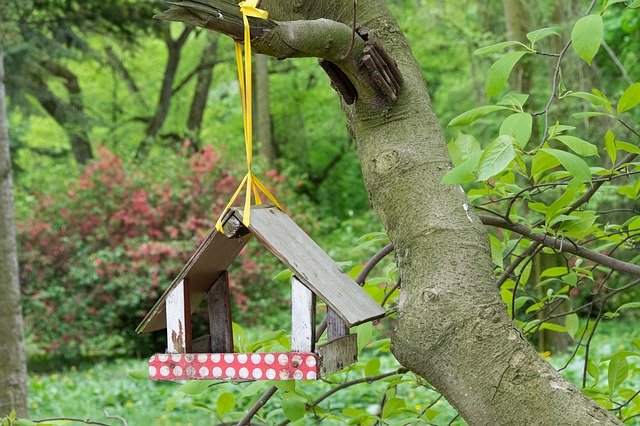 Free download Bird Feeding Tray Birdhouse Shed -  free photo or picture to be edited with GIMP online image editor